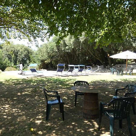 Scappo In Umbria, Casale Monti Villa Montoro  Екстериор снимка